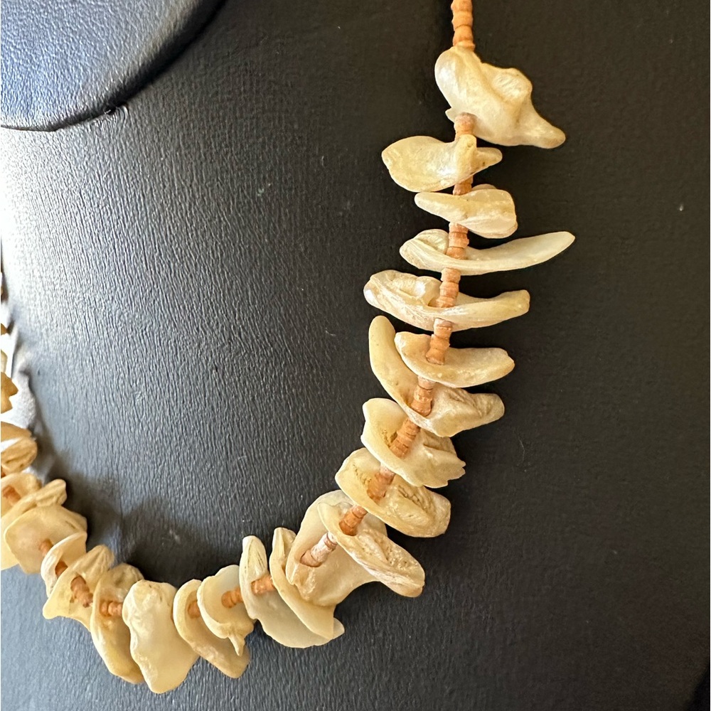 Shell Choker - Picture 2 of 8